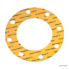 James-Walker-Sentinel-X-CNAF-gasket